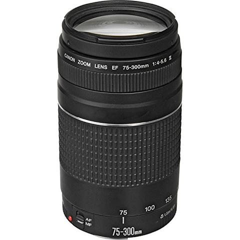 Canon EF 75-300mm f/4-5.6 III Telephoto Zoom Lens for Canon SLR