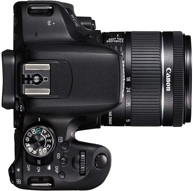 Canon EOS 800D Rebel T7i 24.2MP Digital SLR Camera + Canon 18-55mm + 55-250 IS II Complete Basic Lens Kit